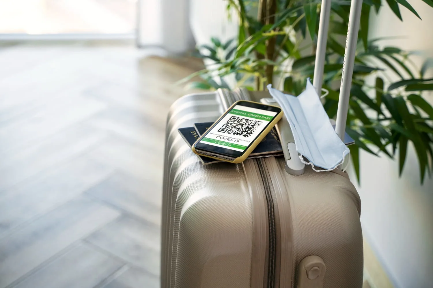 Travel & Aviation